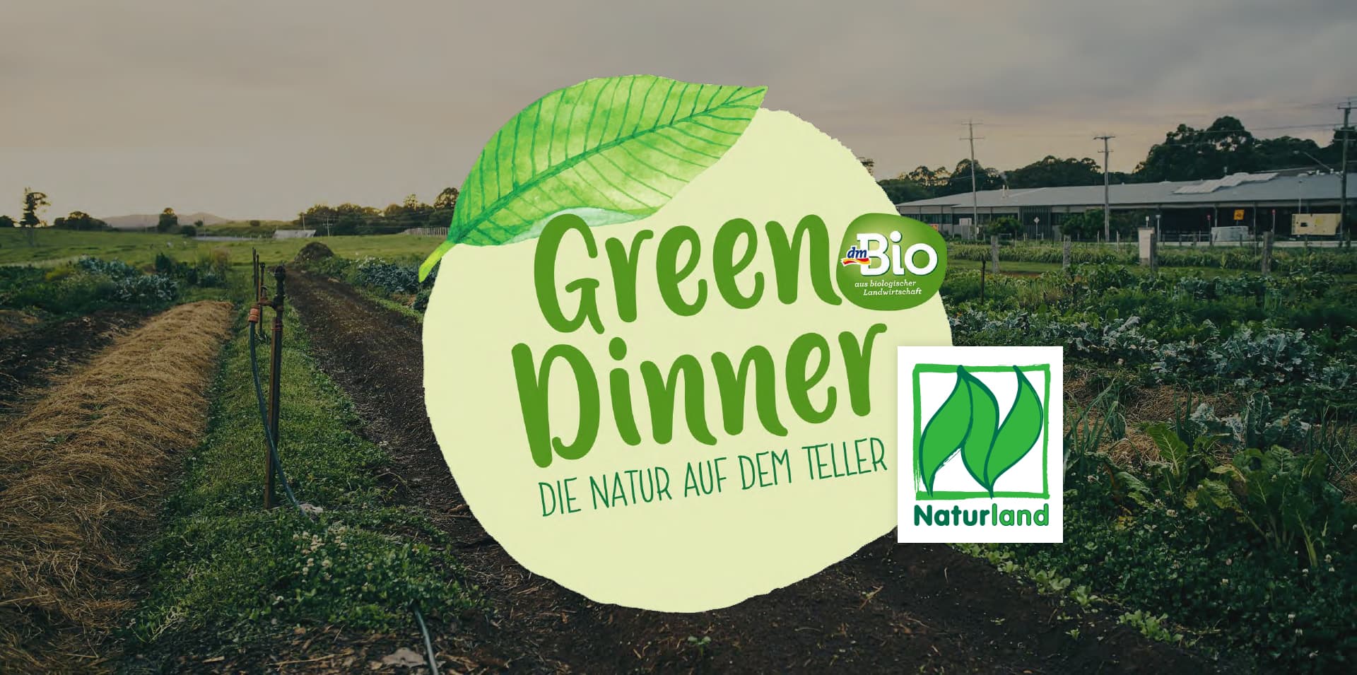 Tino Schmidt Green Dinner dmBio